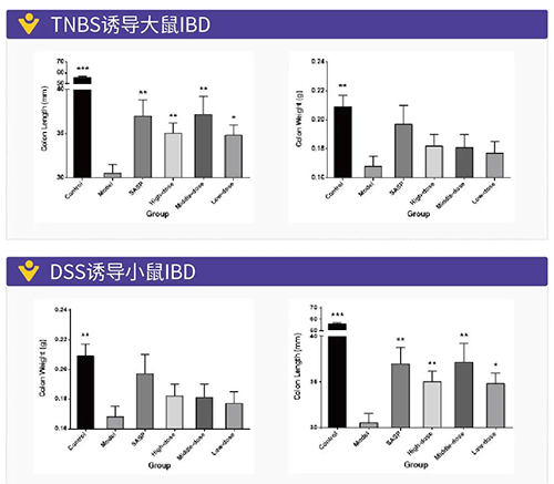 TNBS诱导的大鼠IBD、DSS诱导的大鼠IBD